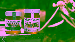 Wild Nectar Honey Brand Film 30 sec skip Ad Commercial Brand Imagery Photoshoot 2