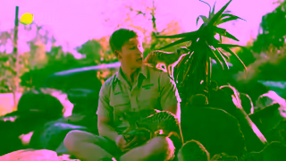 HelloFresh Tame Weeknight Dinners with HelloFresh And Robert Irwin Ad Commercial Brand Imagery Photoshoot 0