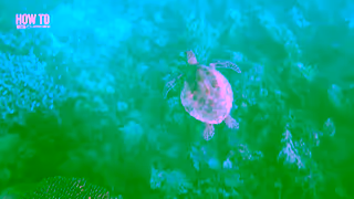 Adrenaline How to Make adventure Happen with Adrenaline Ad Commercial Brand Imagery Photoshoot 1