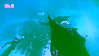 Adrenaline How to Make adventure Happen with Adrenaline Ad Commercial Brand Imagery Photoshoot 2