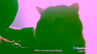 HearingLife HearingLife Canada Love Your Ears Ad Commercial Brand Imagery Photoshoot 0