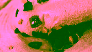 Dairy Queen The Salted Caramel Truffle BLIZZARD Treat is back Ad Commercial Brand Imagery Photoshoot 0