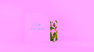 NATURO Pet Foods Dogs dont care what they eat Naturo do Ad Commercial Brand Imagery Photoshoot 0