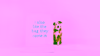 NATURO Pet Foods Dogs dont care what they eat Naturo do Ad Commercial Brand Imagery Photoshoot 1