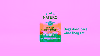 NATURO Pet Foods Dogs dont care what they eat Naturo do Ad Commercial Brand Imagery Photoshoot 2