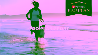 Purina Fuel Your Dogs Active Lifestyle with Food Made for Strength Stamina Ad Commercial Brand Imagery Photoshoot 0