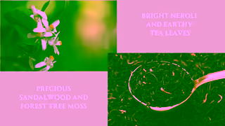 GRISIAU Parfums Discover Shambhala by Grisiau Parfums Ad Commercial Brand Imagery Photoshoot 1