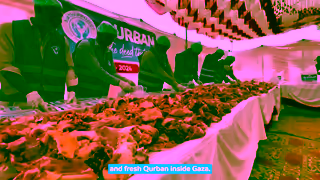 MATW Qurban in Gaza Limited Spots Ad Commercial Brand Imagery Photoshoot 1