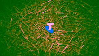 Telstra Black Friday Sale Ad Commercial Brand Imagery Photoshoot 2