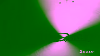 HESTAN Culinary Hestans Italian Heritage Ad Commercial Brand Imagery Photoshoot 2