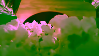 SkinnyPop Popcorn Doesnt Count Ad Commercial Brand Imagery Photoshoot 0