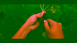 Visit Panama We Dare You To Adventure Further In Panam Ad Commercial Brand Imagery Photoshoot 1