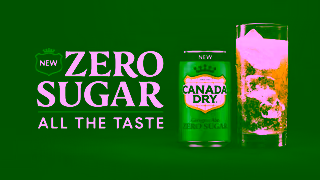 Canada Dry NEW Canada Dry Ginger Ale Zero Sugar 6s Ad Commercial Brand Imagery Photoshoot 2