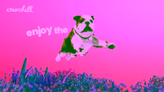 Churchill Insurance Churchill YouTube Bumper 6s 16x9 Ad Commercial Brand Imagery Photoshoot 1