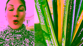 Paleovalley Paleovalley Beef Sticks 30 for 36 Ad Commercial Brand Imagery Photoshoot 0