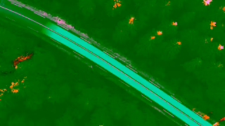 Intelcom Shipping for Businesses across Canada Dragonfly Ad Commercial Brand Imagery Photoshoot 0