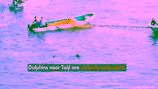 World Animal Protection From the Taiji cove to captivity a dolphins heartbreaking journey Ad Commercial Brand Imagery Photoshoot 0