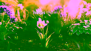 Benefiber Americas 1 Prebiotic Fiber Ad Commercial Brand Imagery Photoshoot 1