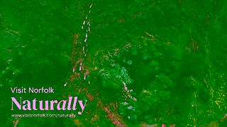 Visit Norfolk Ecoadventure in Breckland Naturally Ad Commercial Brand Imagery Photoshoot 2