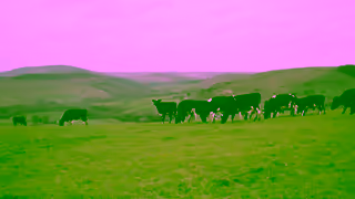 Arla Cravendale Ad Commercial Brand Imagery Photoshoot 0