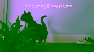 Healthy Paws Insurance Healthy Paws Pet Insurance Pets Will Need Vets Ad Commercial Brand Imagery Photoshoot 1