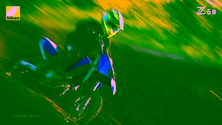 Nikon Nikon Z6III Powerhouse Mirrorless Camera Ad Commercial Brand Imagery Photoshoot 1