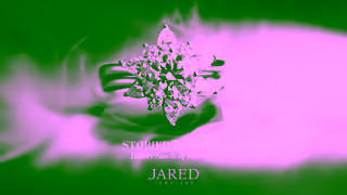 JARED Jewelers Storied Diamond Desert Sands of Eternity FullyTraceable Natural Diamonds Ad Commercial Brand Imagery Photoshoot 2