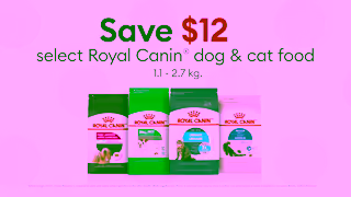 PetSmart April Weekend Event Ad Commercial Brand Imagery Photoshoot 1
