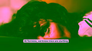 Terminix 25FCB0161 TMX 2025 Brand Rodent Lil Schemers 16x9SOCIAL15 1 Ad Commercial Brand Imagery Photoshoot 0