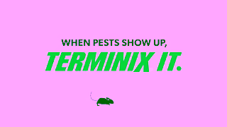 Terminix 25FCB0161 TMX 2025 Brand Rodent Lil Schemers 16x9SOCIAL15 1 Ad Commercial Brand Imagery Photoshoot 2