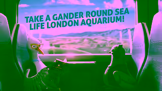 South Western Railway Spread your wings with SWR Rewards Ad Commercial Brand Imagery Photoshoot 0