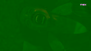 MAX Streaming unknown Ad Commercial Brand Imagery Photoshoot 1