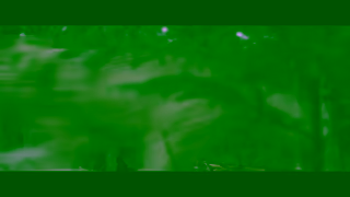 LevelFILM OUT COME THE WOLVES August 31 Screening with QA Hosted by Cast and Crew Ad Commercial Brand Imagery Photoshoot 0