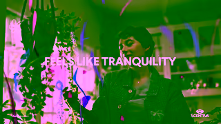 Clorox Clorox Scentiva Tranquility Ad Commercial Brand Imagery Photoshoot 2