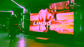 VIVIDSTORM No Customs Duties Free shippingGlobal Warehouse Clearance Blowout Up to 3050 Off clearance Ad Commercial Brand Imagery Photoshoot 2