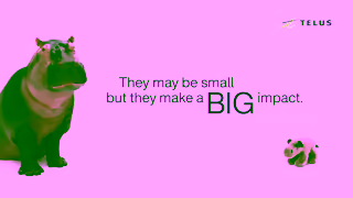 TELUS TELUS Doing good never felt so fluffy Ad Commercial Brand Imagery Photoshoot 0