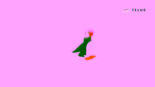 TELUS TELUS Doing good never felt so fluffy Ad Commercial Brand Imagery Photoshoot 1