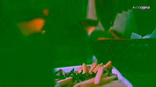 Visit Cyprus Its time to Love Cyprus Vineyard Ad Commercial Brand Imagery Photoshoot 1