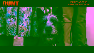 STUDIOCANAL RUNT 30S Spot YT 16x9 EAROBN 2500 Ad Commercial Brand Imagery Photoshoot 2