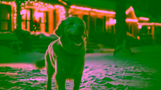 Coca-Cola The Holiday Magic is coming Ad Commercial Brand Imagery Photoshoot 1