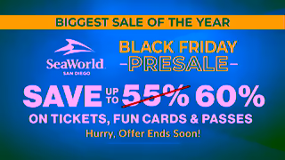 SeaWorld San Diego 2024SEA1356YT BumpersSocialBlack Friday PreSaleSWCSv60pctEndsSoon1920x1080 Ad Commercial Brand Imagery Photoshoot 2