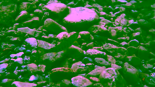 Patagonia Laxaj A Salmon Nation Testimonial by Elvar rn Fridriksson Ad Commercial Brand Imagery Photoshoot 2