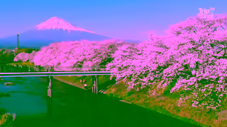 TripADeal TripADeal through Japan Unbeatable bucket list Japan tours and cruises Ad Commercial Brand Imagery Photoshoot 0