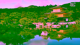 TripADeal TripADeal through Japan Unbeatable bucket list Japan tours and cruises Ad Commercial Brand Imagery Photoshoot 1