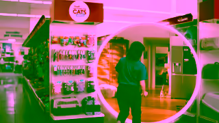 PetSmart 2025 PetSmart AFCM Balloon Best Rewards V2 15 Skippable Ad Commercial Brand Imagery Photoshoot 2