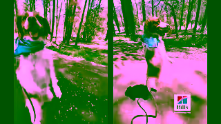 Hill's Hills Pet Nutrition ANZ Science Did That Ad Commercial Brand Imagery Photoshoot 0