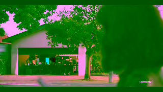 Capella University An Online Degree With Dedicated Support Ad Commercial Brand Imagery Photoshoot 0