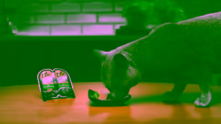 DINE DINE Perfect Portions Crooner 16x9 15sec Ad Commercial Brand Imagery Photoshoot 2