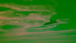 US Air Force US Air Force One Chapter Ad Commercial Brand Imagery Photoshoot 2