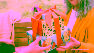 Harry & David Mothers Day Picnic 15 seconds BOGO Ad Commercial Brand Imagery Photoshoot 1